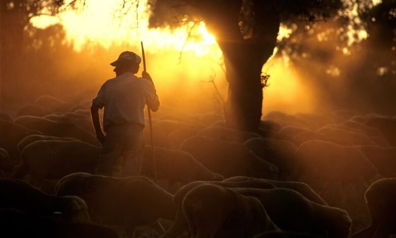 26 Bible Verses for Farmers