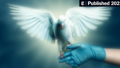 Opinion | How Would You Prove That God Performed a Miracle?