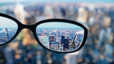 The truth is in the extremes: What the wisdom books of the Hebrew Bible can teach us about life and the world