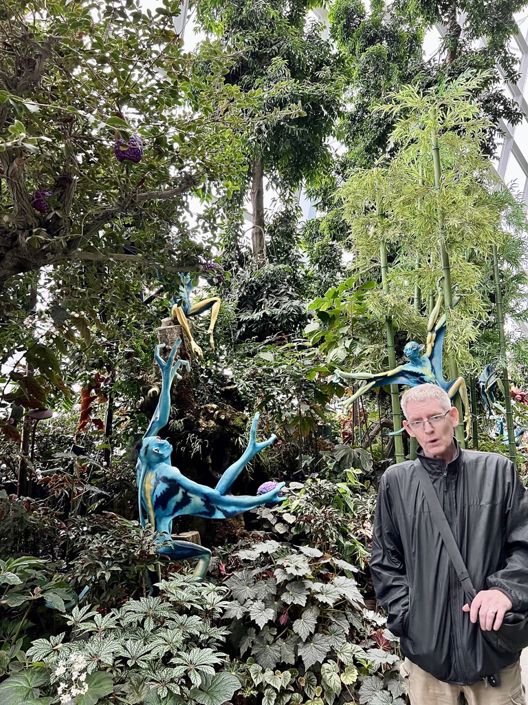 chronic obstructive pulmonary disease