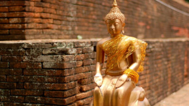 How Do We Assess the Miracle Claims of Other Religions?