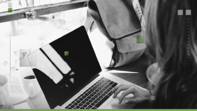 How the Book of Proverbs Speaks to Everything