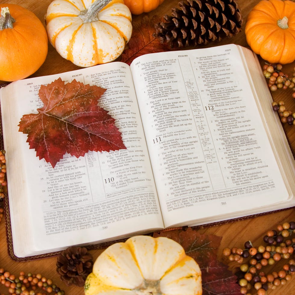 a nice fall scene with a bible opened to psalms
