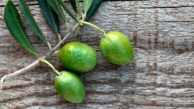 50 Short Bible Verses About Peace