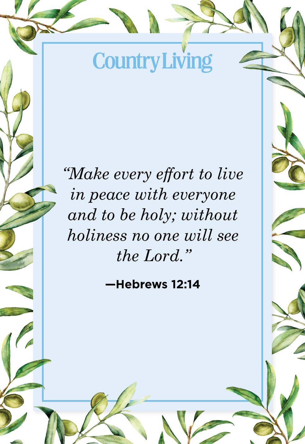 bible verses about peace hebrews 12