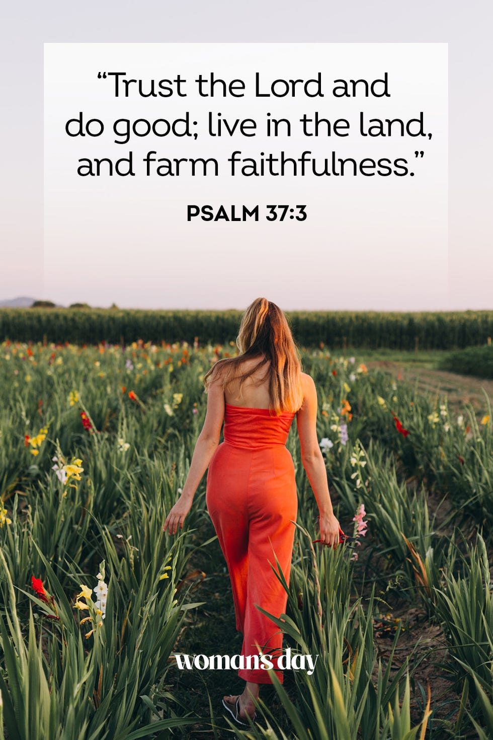 verses about trusting god psalm 37 3