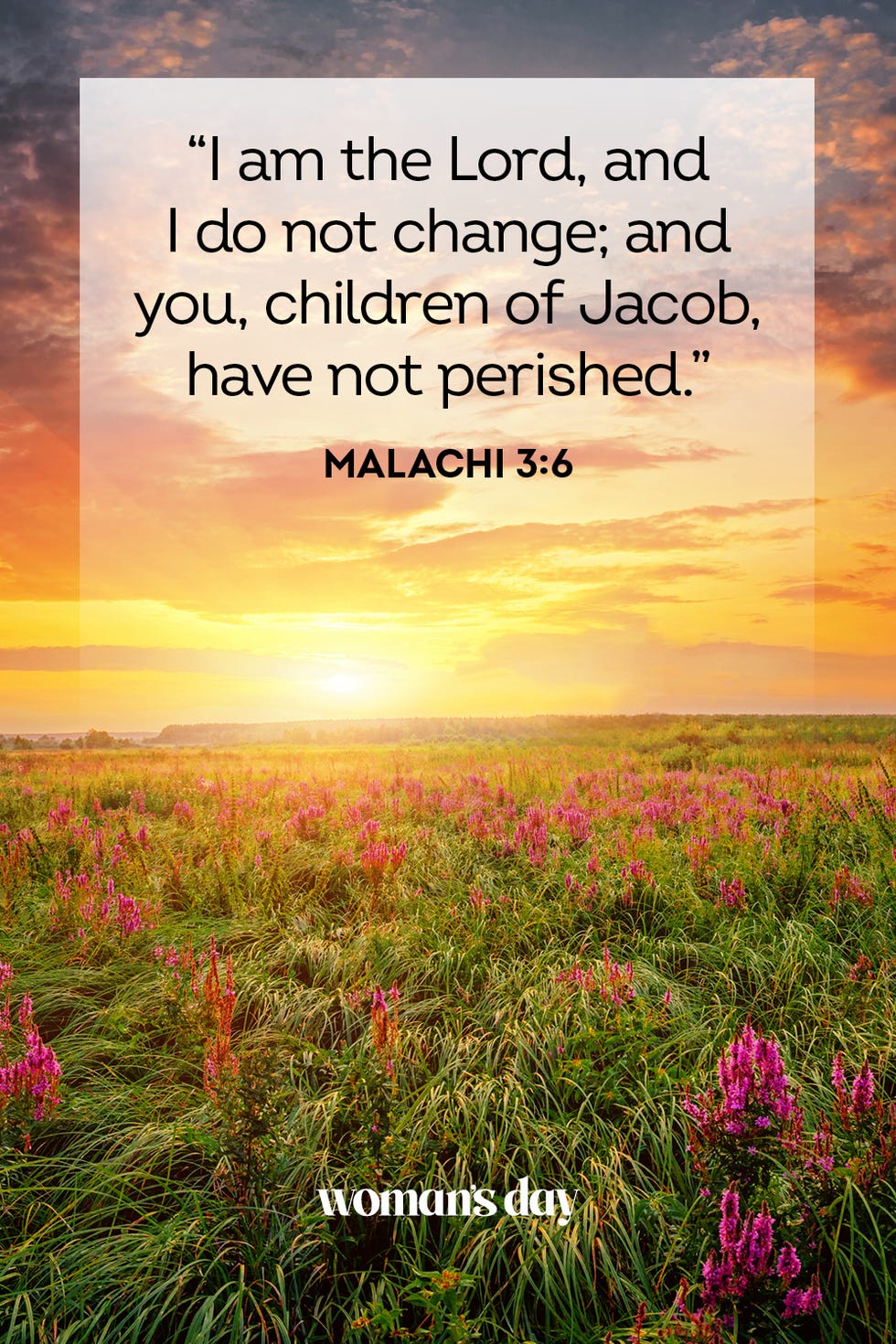 verses about trusting god malachi 3 6