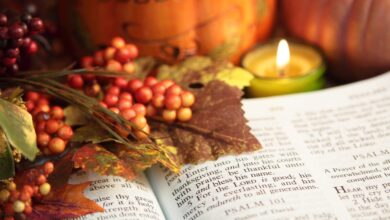 25 Fall Bible Verses and Scripture for Autumn