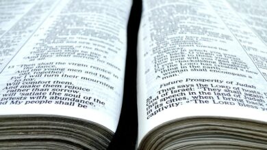 YouVersion Bible App Becomes First Faith-Based App To Hit 500 Million Installations