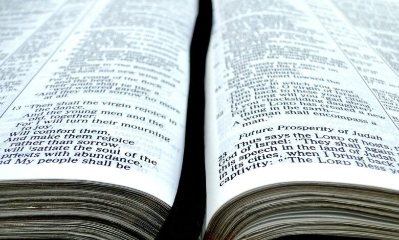 YouVersion Bible App Becomes First Faith-Based App To Hit 500 Million Installations