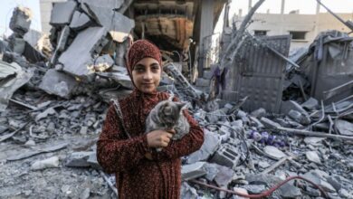 Why Palestinians Are Inspiring the World – A Story of Faith & Resilience