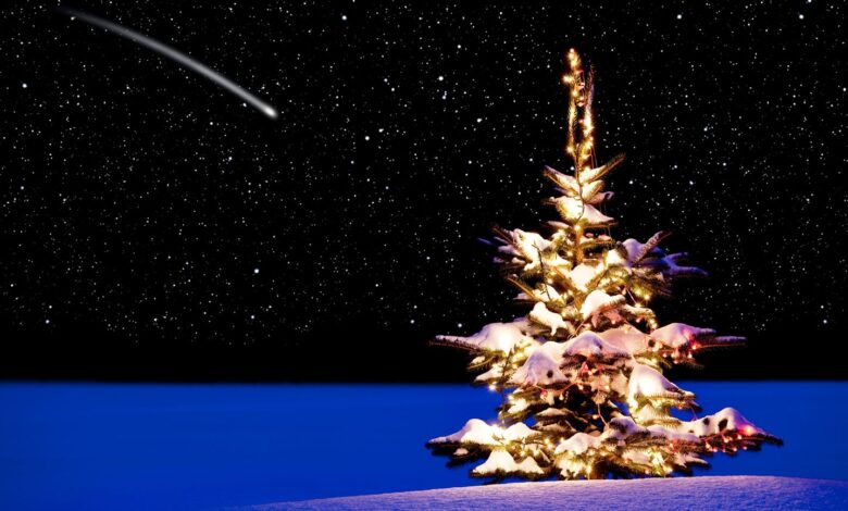 10 Christmas Miracle Stories to Comfort Us 10 Christmas Miracle Stories to Comfort Us