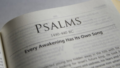 How to Read the Bible in 6 Simple Steps for Beginneres