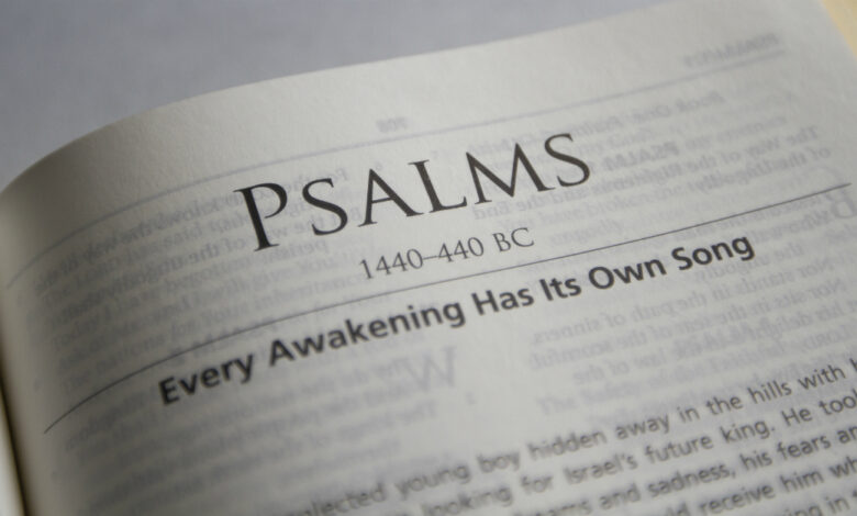 How to Read the Bible in 6 Simple Steps for Beginneres How to Read the Bible in 6 Simple Steps for Beginneres