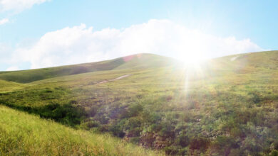 Why We Still Need J. I. Packer’s Classic Book