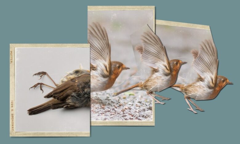 Miracles Are Outlasting the Arguments Against Them