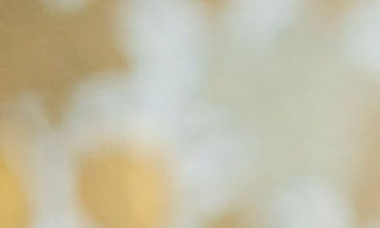 Best Daily Devotional For Your Spirit