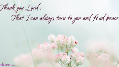 40 Prayers for Peace – Pray for Comfort and Calmness