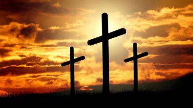 Finding answers in the story of Holy Week and Easter