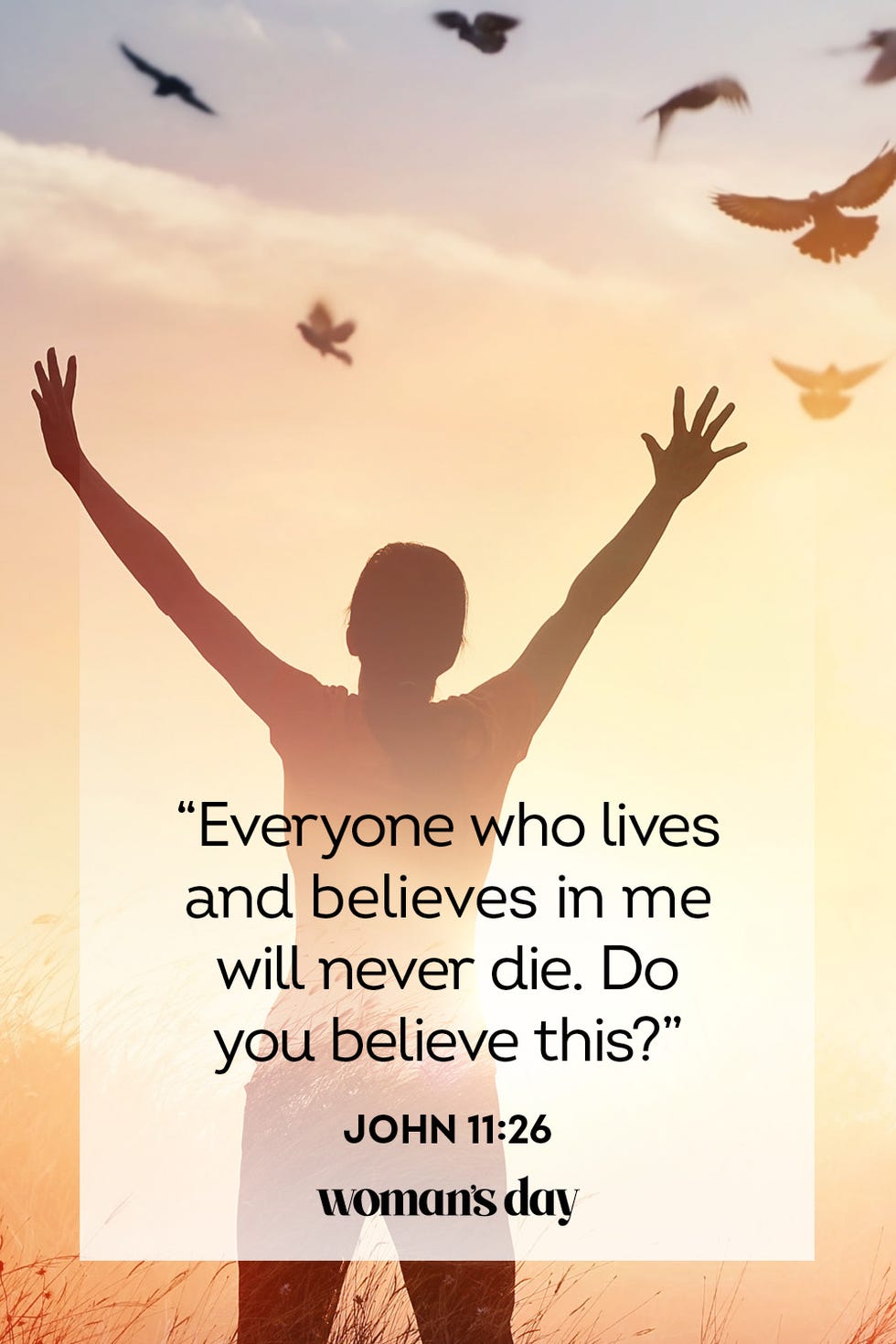 bible verses about death john 11 26