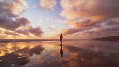 20 Bible Verses about Faith