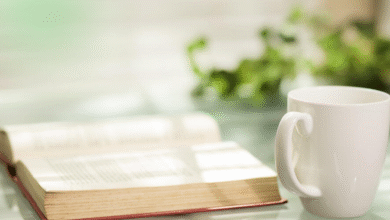 A Christian Woman’s Guide to Consecration (2025) — EEW Magazine