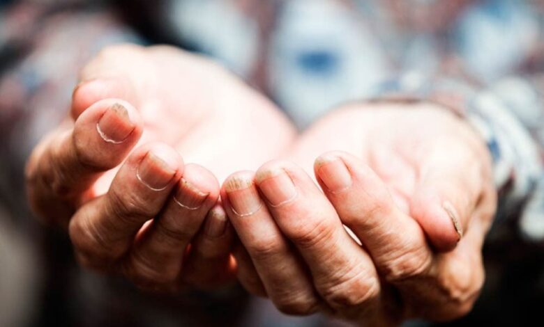 11 Heartwarming Stories That Will Give You All the Feels 11 Heartwarming Stories That Will Give You All the Feels