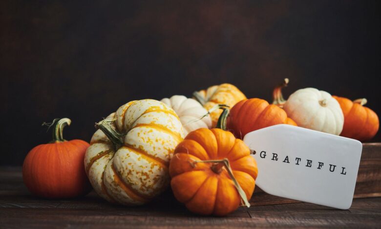 Gratitude is the Key to a Well-Lived Life