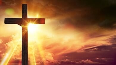 Inspiring Real Life Modern Day Hero Stories