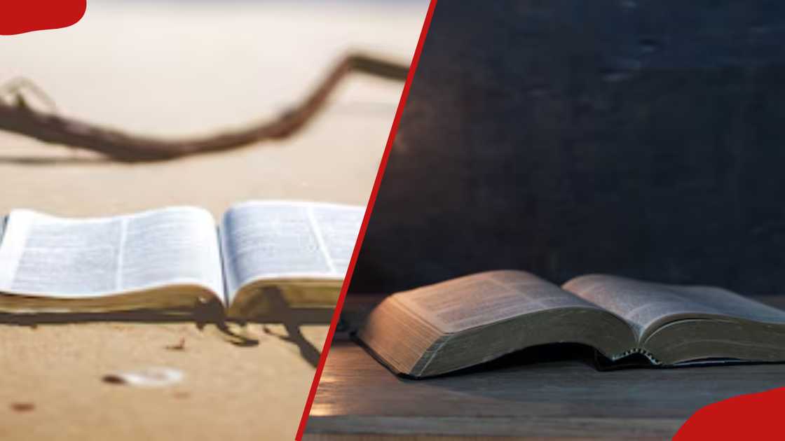 Open Bibles lying down Open Bibles lying down