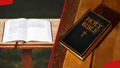 The complete list of books of the Bible and their authors