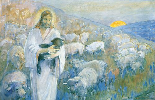 Rescue of the lost sheep