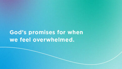 10 Bible Verses For When You Feel Overwhelmed