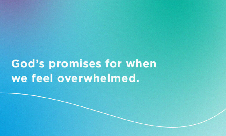 10 Bible Verses For When You Feel Overwhelmed