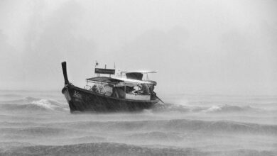 Plough’s Joy Clarkson speaks with John Swinton about discipleship and mental health.