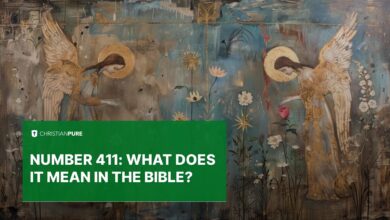 Number 411: What does it mean in the Bible?