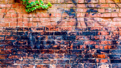 5 Spiritual Survival Strategies in the Trump Era