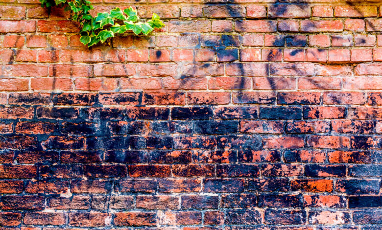 5 Spiritual Survival Strategies in the Trump Era