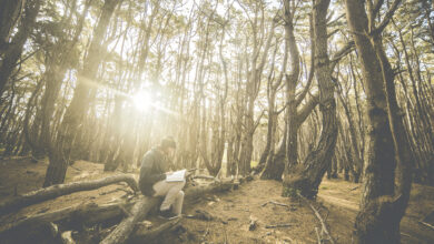 Cultivating Christlike Virtue in a Virtue-Signaling Age