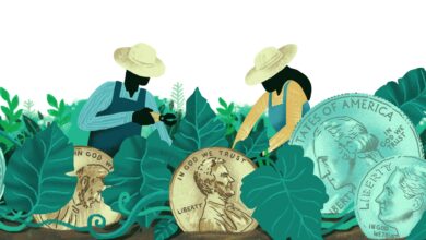 Biblical stewardship: God’s Plan for Your Money