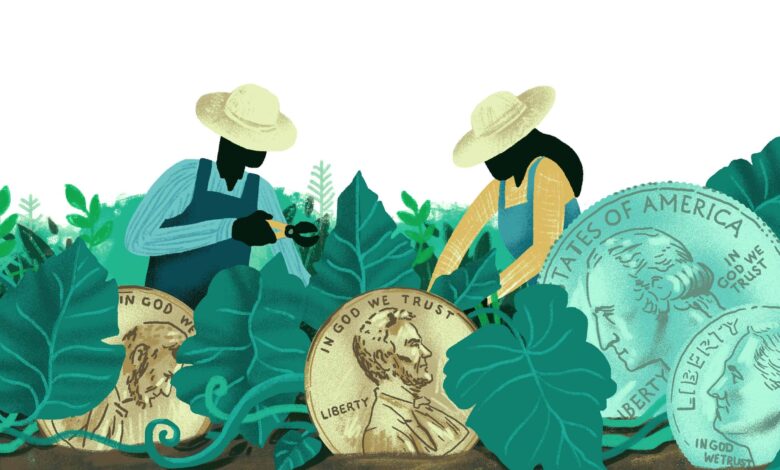 Biblical stewardship: God’s Plan for Your Money