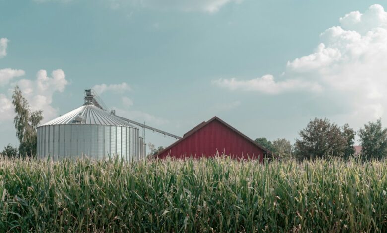 Faith Lived Close to the Land