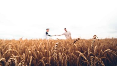 10 Things Everyone Should Know About a Christian View of Homosexuality