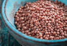 Disperse the Church – outreachmagazine.com